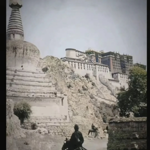 独一无二（翻自 德白）