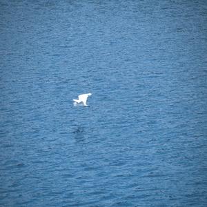 许嵩16首串烧（ukulele弹唱）