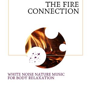 The Mysterious Bridge