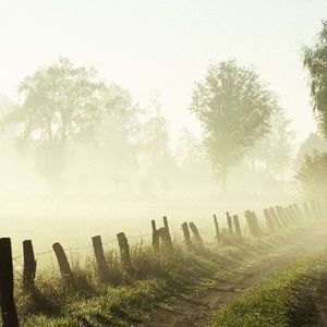 生活就是那么一样