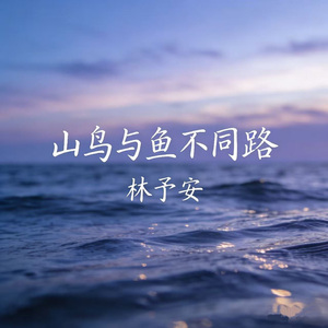 山鸟与鱼不同路