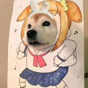 牧马城市（cover毛不易）