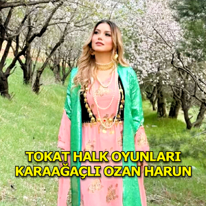 Davul Zurnalı Tokat Oyun Havası