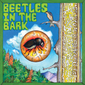 Beetles In the Bark