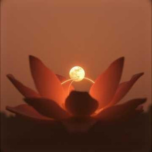 忘了算了（热播女声版）