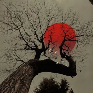 丘壑（Prodby.xw.danger）