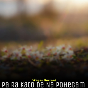 Pa Ra Kato De Na Pohegam