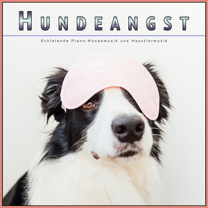 Beruhigende Klaviermusik für Pooch