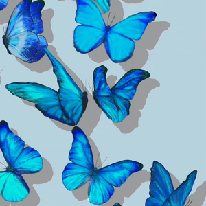 千年泪（余庆伟版）