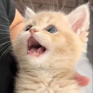 快把ta删掉(Prod by JestonBeatz)