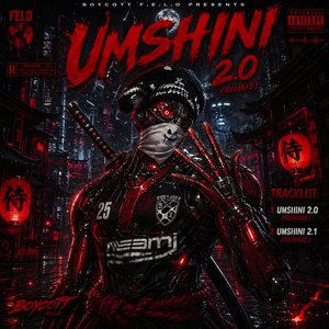 Umshini 2.0 (Remix)