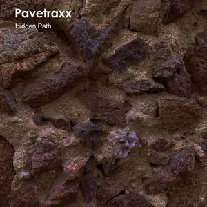 Hidden Path