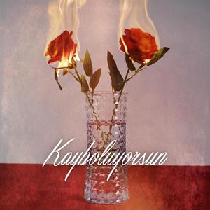 Kayboluyorsun