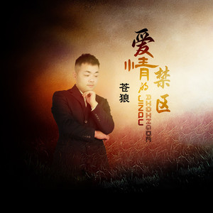 爱情的禁区