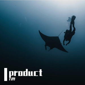 充满活力的电子旋律点燃新品发布