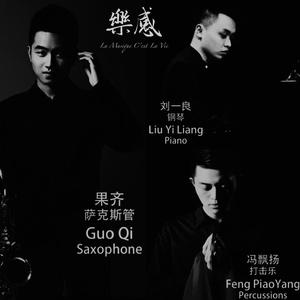 Seagull 海鸥（翻自 須川展也）