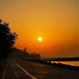 Acımasızca Geçip Giden Zaman