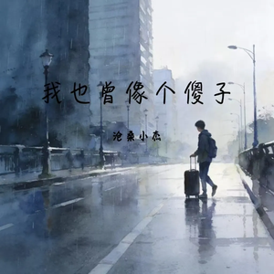 我也曾像个傻子(慢摇DJ版)