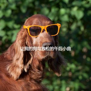 Wonderful Son Montuno Trumpet - Vibe for Iconic Flashbacks