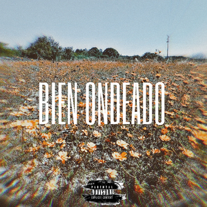 Bien Ondeado