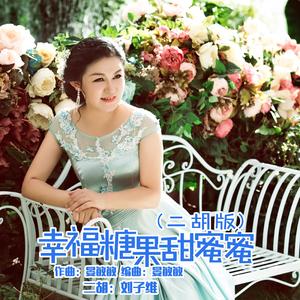 幸福糖果甜蜜蜜 (二胡版)