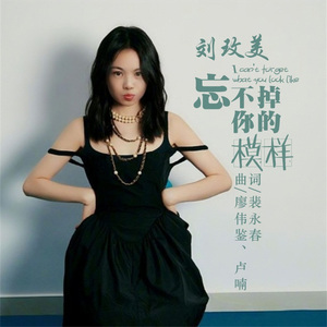 忘不掉你的模样