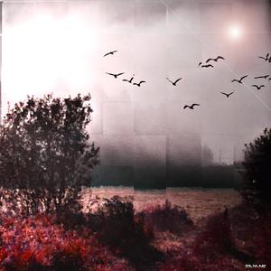 Letz Fly (To The Ends Of The Earth)