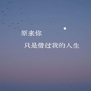 男-原来你只是借过我的人生