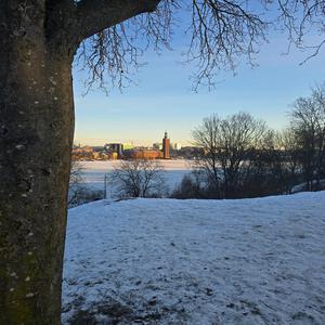 Snöstorm i Stockholm