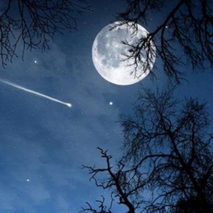 陈慧娴-月亮（DJ Eliezer remix）