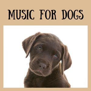 Classical Music For Dogs