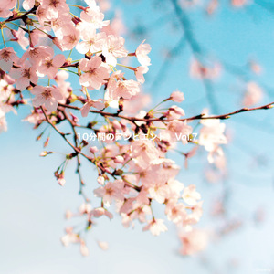 10分間の塩梅のアンビエント