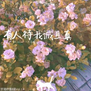 晚风（吉他男版）