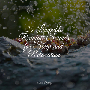 Soothing Beach Ambience (Gentle Waves)