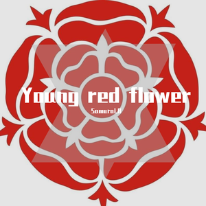 Young Forever Beats-young red flower（Samurai.R / 鲨鱼女孩 remix）
