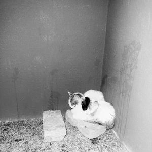 你.(prod.by Morrow)