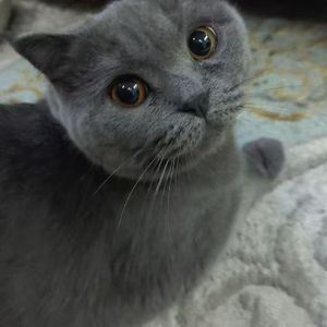 38b34d81e08a6fbee346ee250b2ed130