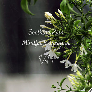 Soothing Rain Mindful Relaxation Vol. 1 - 2 Hours