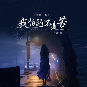 我怕的不是苦 (洋澜一版)