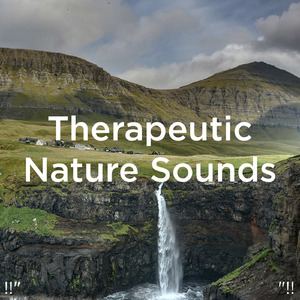 수면을위한 바다의 소리