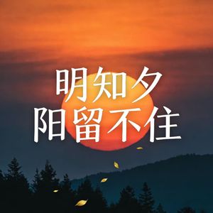 明知夕阳留不住（男版）