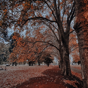 《踏山河》钢琴版