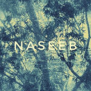 Naseeb Intro