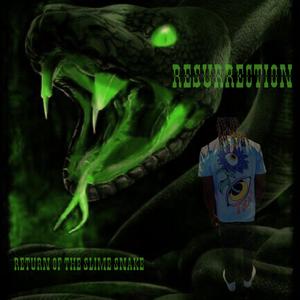 Ressurection