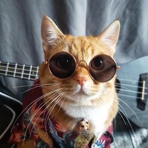 四季予你（翻自 阿YueYue）