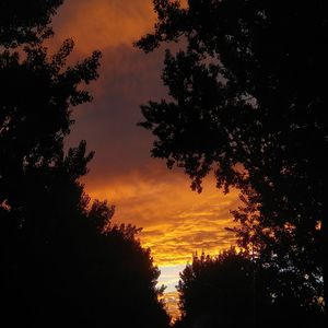 那个傻瓜(cover 陈雪凝)