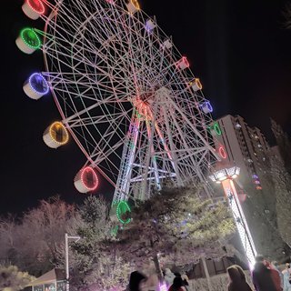 随 风 散 。