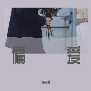 刘德华-暗里着迷（精彩鑫 remix）