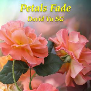 Petals Fade