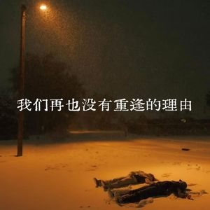 我们再也没有重逢的理由
